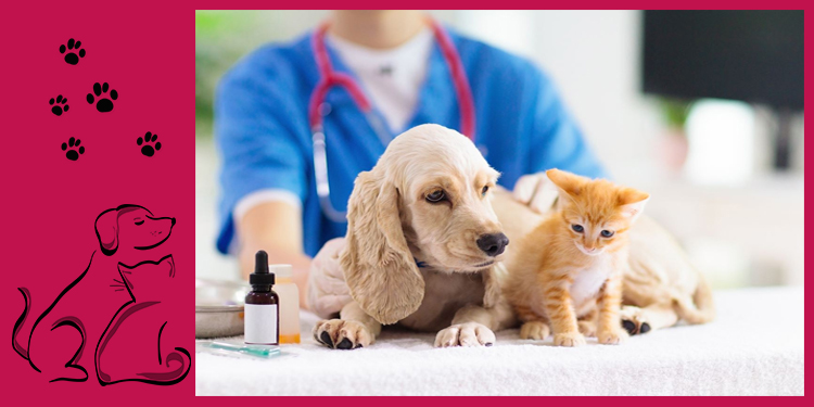Pet Vaccination